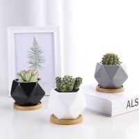 New design ceramic succulent planter pots for wholesale