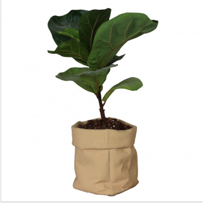 Garden supplies hop-pocket design indoor cement planters pot