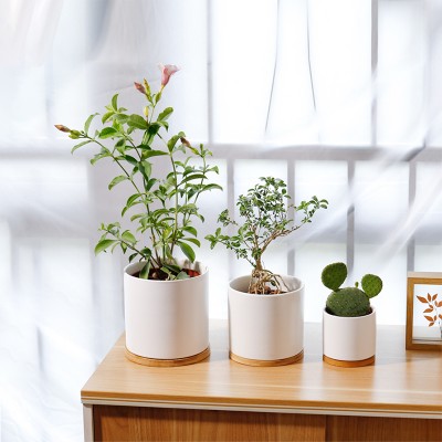 Wholesale  sets13.5cm11.5cm 9.5cm White simple Nordic style flowerpot ceramic flowerpot succulent pots