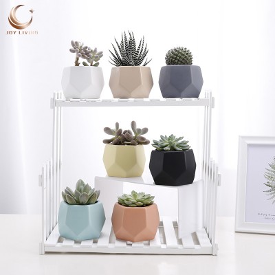 China Factory Cute Small Cheap Plastic Succulent Pots For Succulents