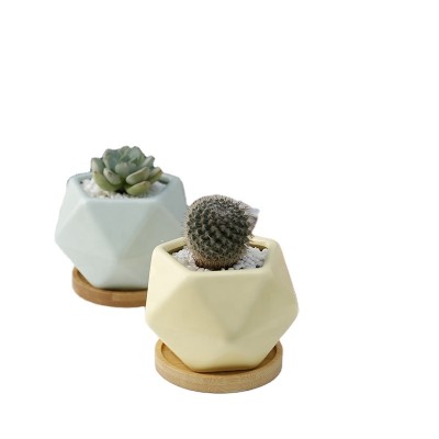 Cheap Price Resin Succulent Clay Pots To Decorate