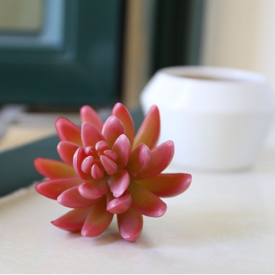 Decorative artificial succulents flower with ceramic plant pots wholesale