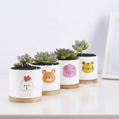 New Arrival Plant Ceramic In Pots Artificial Succulents