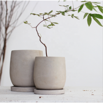 Indoor garden simply design round concrete plant pots wholesale