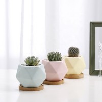 Good Selling Wholesale Egg Succulent Planter Pots Cacti