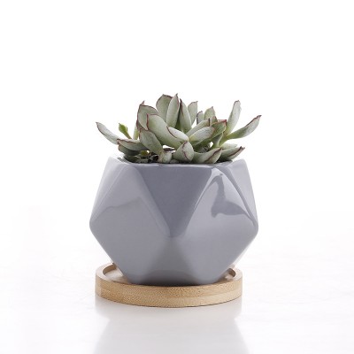 Best Price Concrete Molds Zisha Succulent Flower Pot Molds Garden Pla