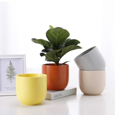 Factory Direct White Colourful Raisin Small Succulent Pots